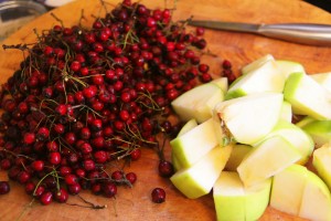 Haws and Apples